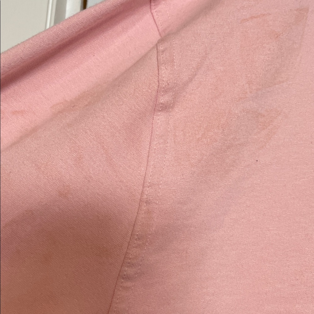 Strawberry shortcake Pink Graphic Sweatshirt NWT Size Large - Picture 5 of 10